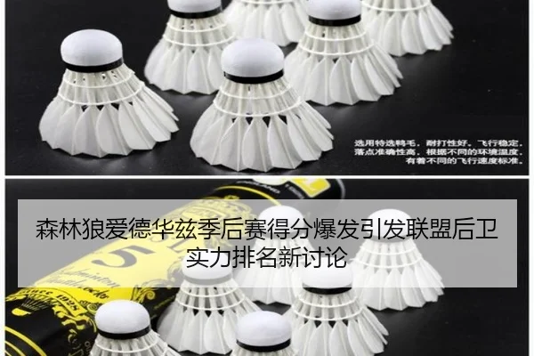 sen-lin-lang-ai-de-hua-zi-ji-hou-sai-de-fen-bao-fa-yin-fa-lian-meng-hou-wei-shi-li-pai-ming-xin-tao-lun-2-193.jpg